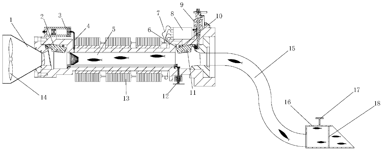 Suction type deep sea seabed organism collection and in-situ maintaining system and use method thereof