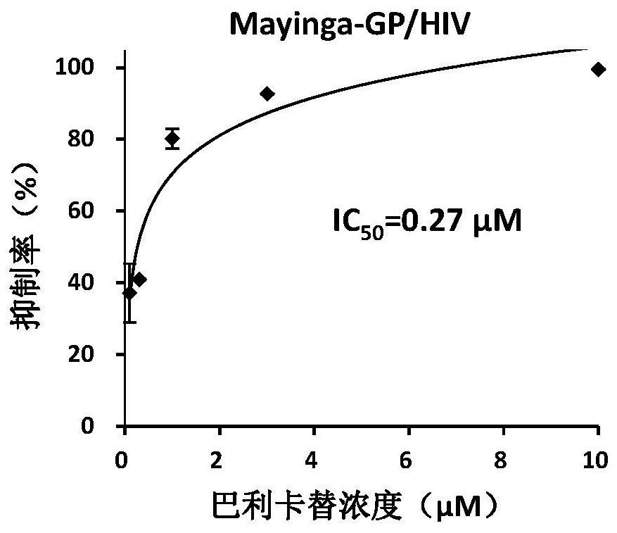 Application of balicatinib in the preparation of anti-filovirus infection drugs