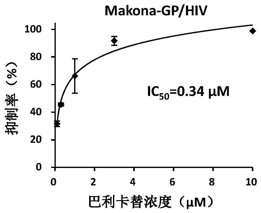 Application of balicatinib in the preparation of anti-filovirus infection drugs