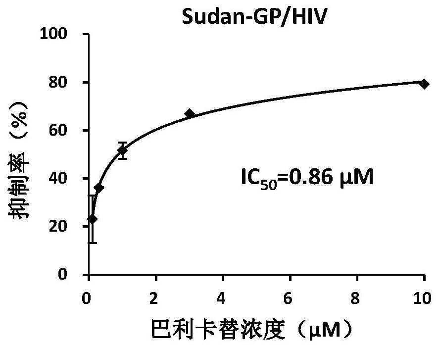 Application of balicatinib in the preparation of anti-filovirus infection drugs