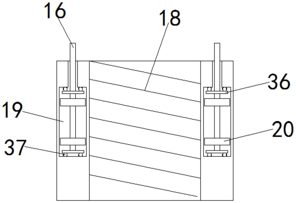 A genetic detection verification extraction system that can be applied in teaching and a genetic screening method for rare diseases