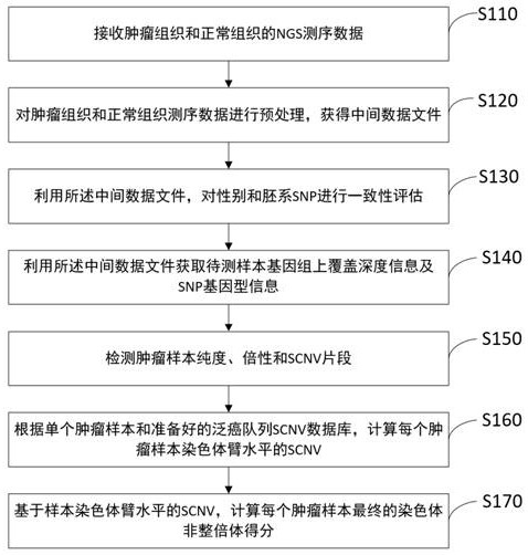 Chromosome aneuploid detection method and device based on NGS, medium and equipment