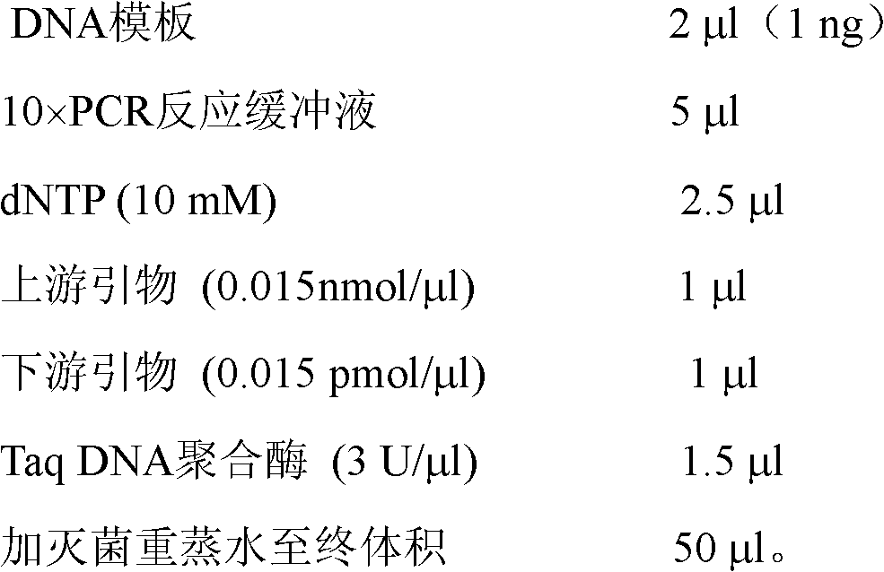 Detection kit of helicobacter pylori emulsion method and preparation process thereof