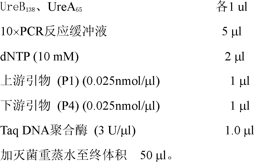 Detection kit of helicobacter pylori emulsion method and preparation process thereof