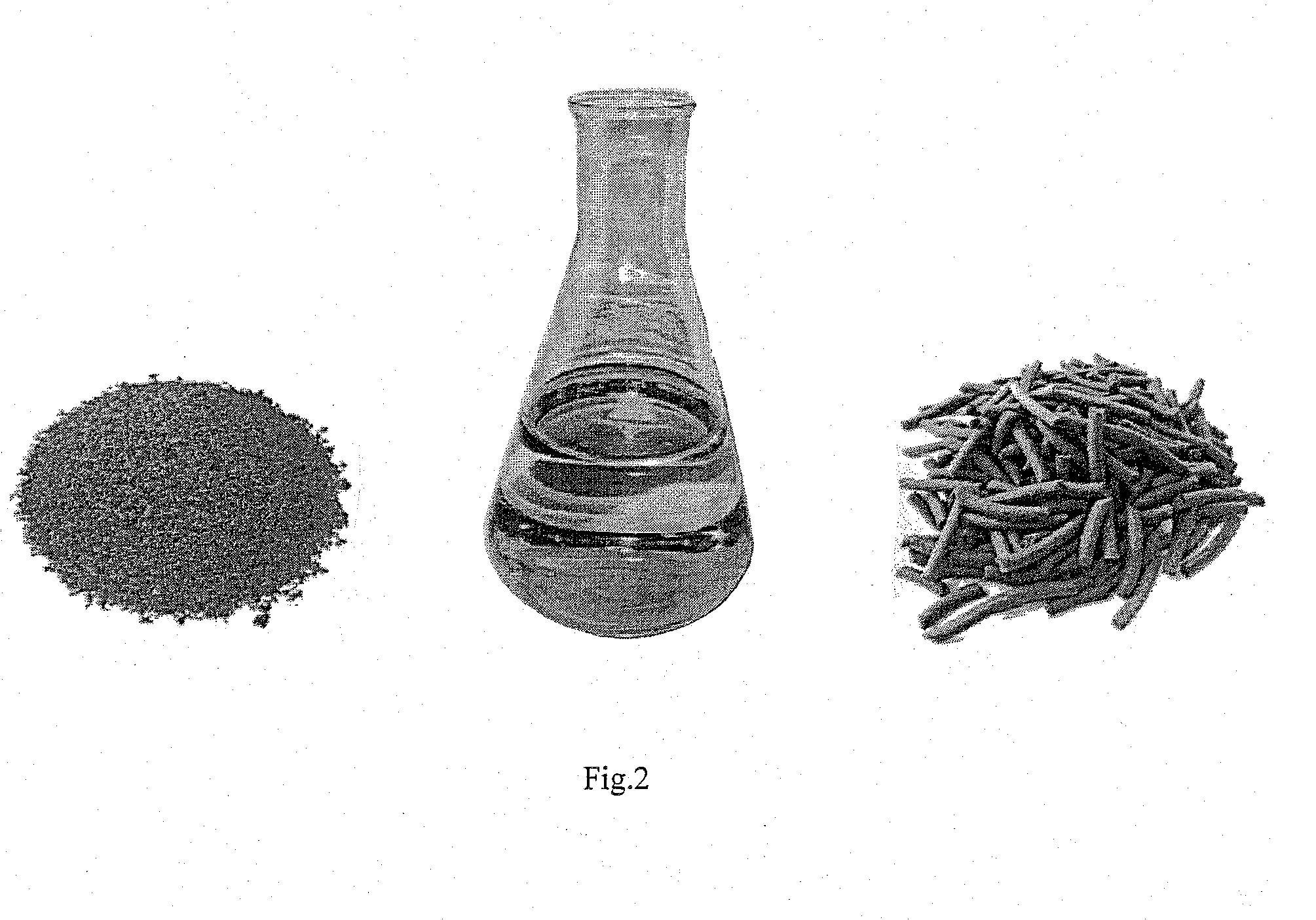 Mutagenized tobacco plant as seed culture for the production of oil for energetic, industrial and alimentary uses