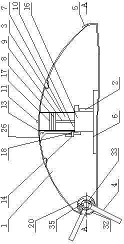 Sea cucumber catching device