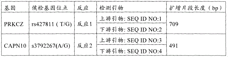 Method for detecting related loci of type-2 diabetes