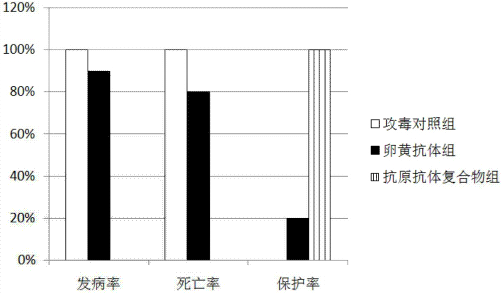 Group-I type-4 adenovirus long-acting egg yolk antibody preparation method