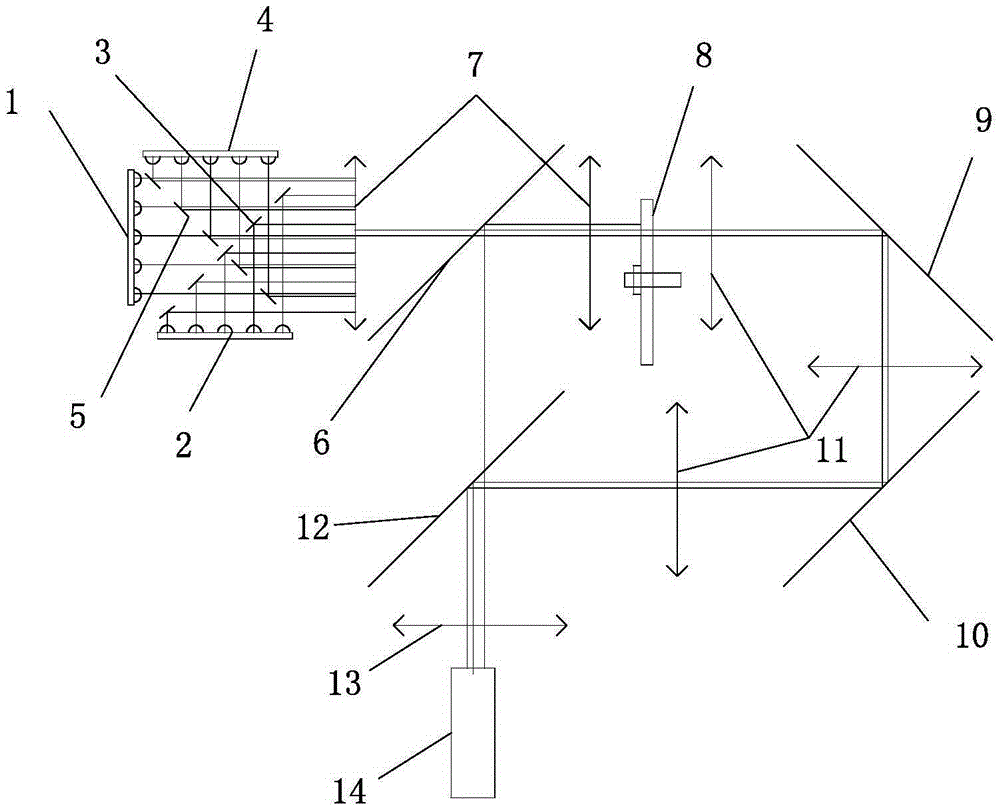 Projector red and blue laser light source system