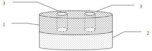 Pain relieving bilayer controlled-release tablet and preparation method thereof