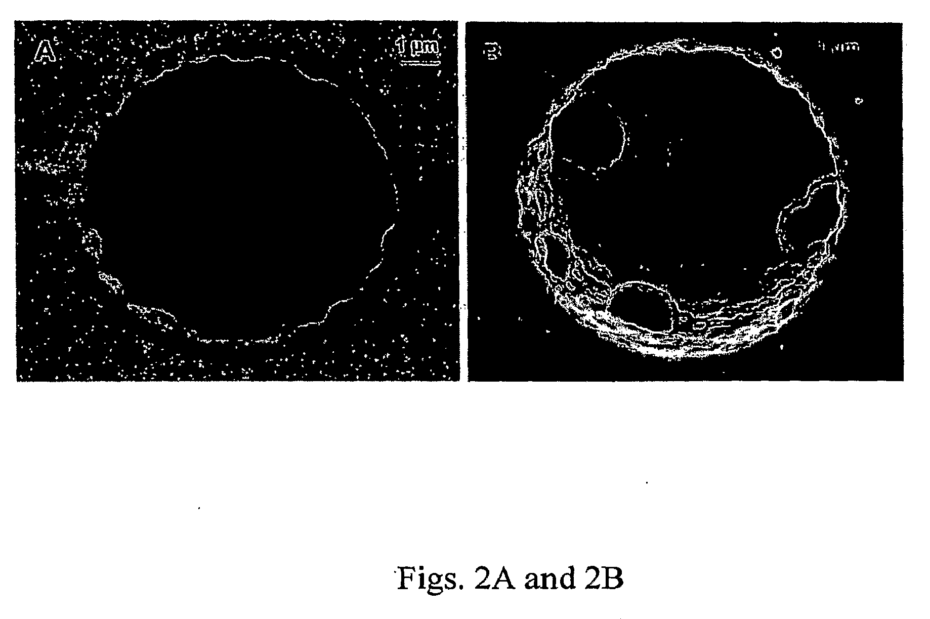 Narrow bore layer open tube capillary column and uses thereof