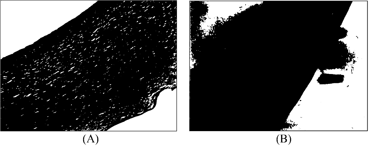 Decellularized method for cornea