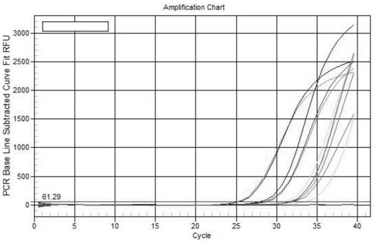 Primer composition for detecting expression level of cynoglossus semilaevis interleukin IL-6 gene and application of primer composition