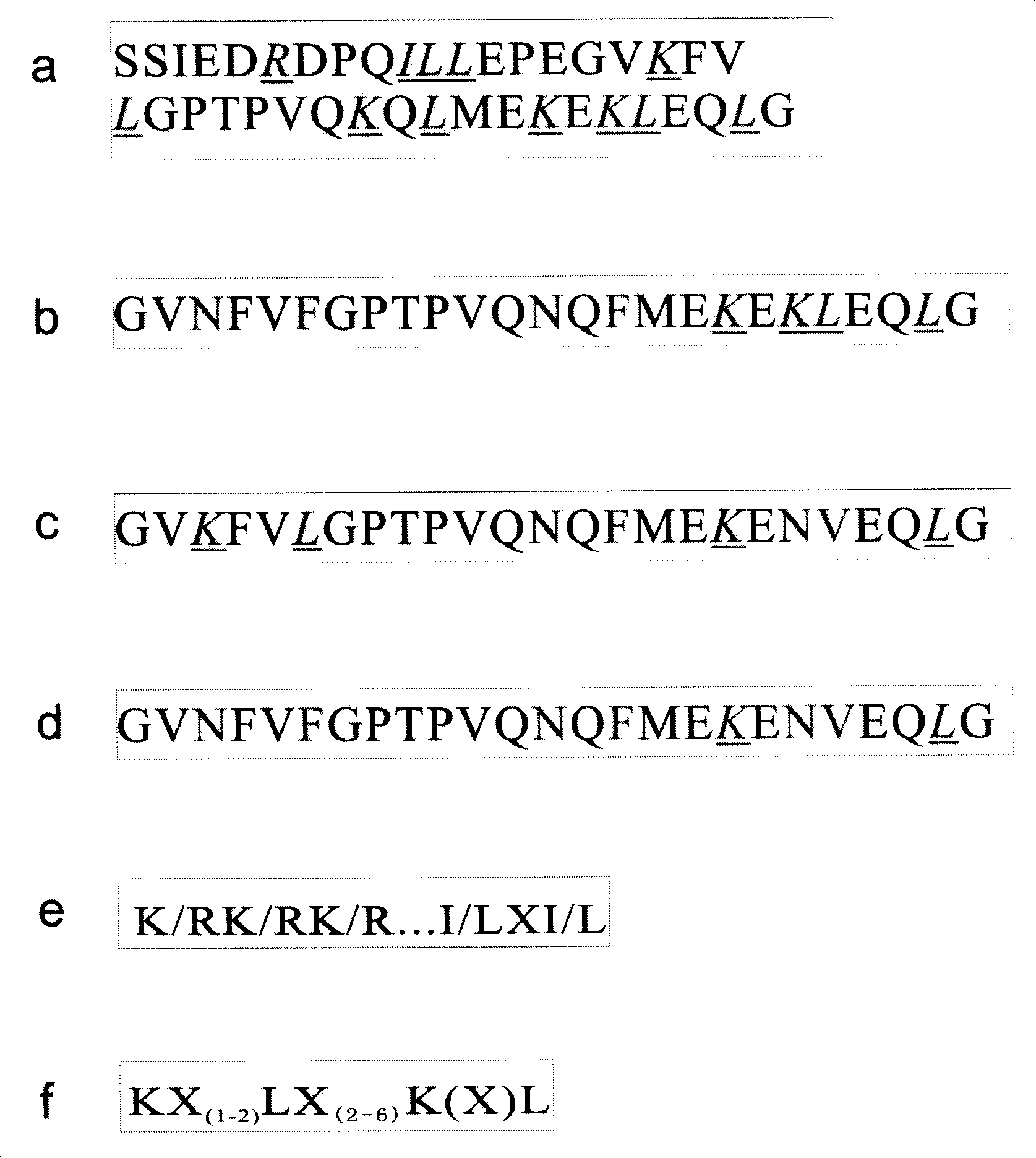 ERK2 combination polypeptide and preparation thereof