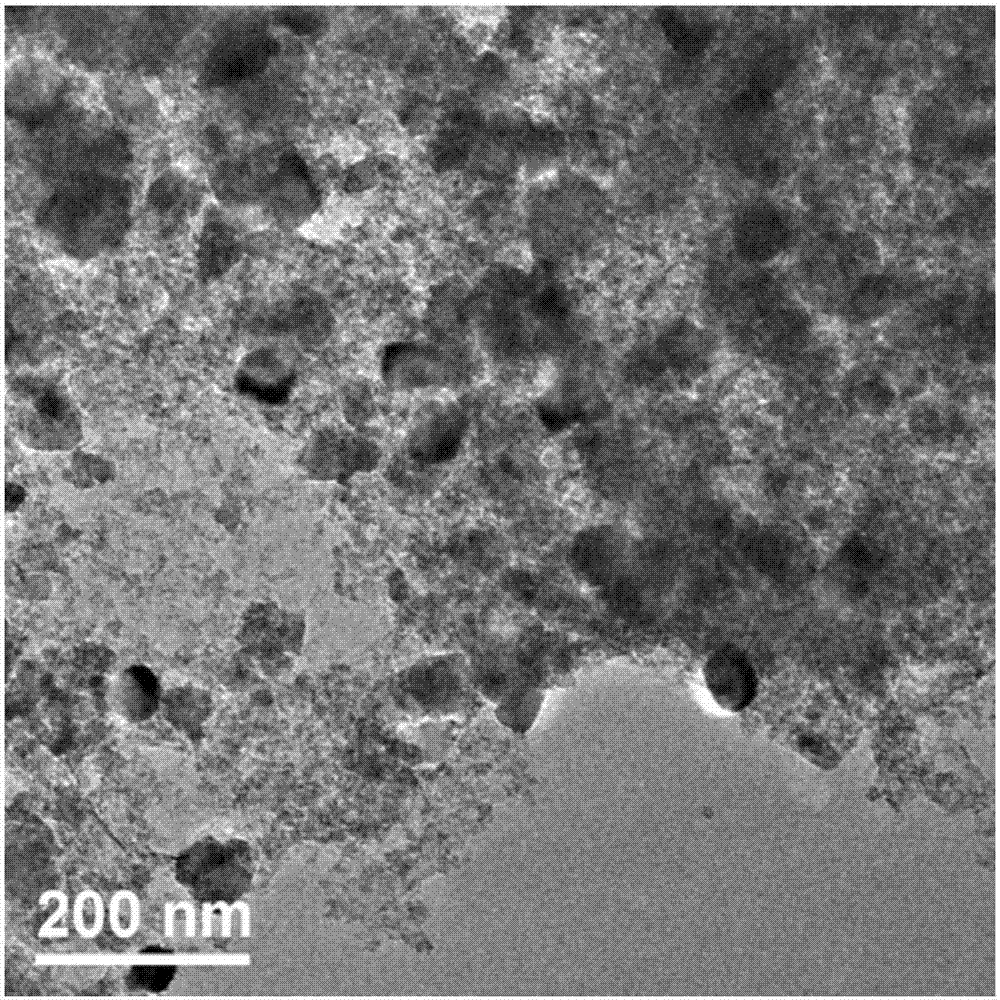 Tin dioxide/nickel ferrite/graphene composite material as well as preparation method and application thereof