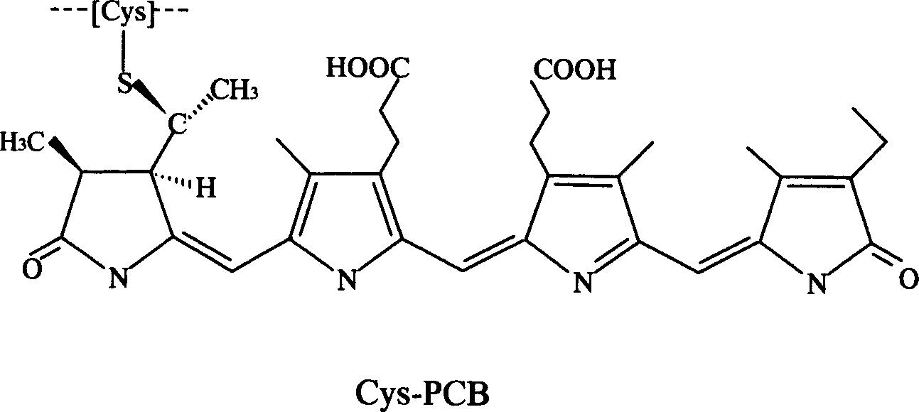 Production technology of fluorescent phycocyanin and crystal and product thereof