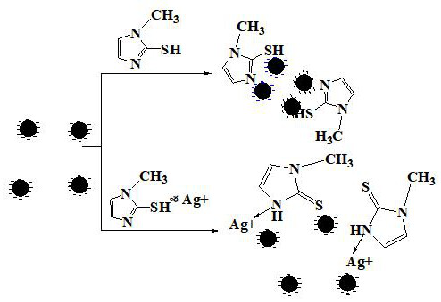 Nano-gold colorimetric method based on anti-agglomeration and determination of silver ions