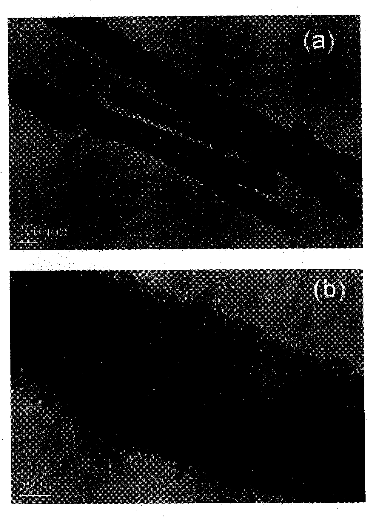 Preparation method of one-dimensional mesoporous Co nanowire array