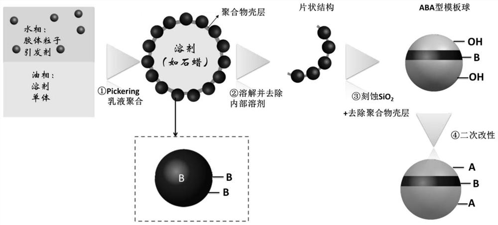 A kind of aba-type colloidal particles with multiple properties on the surface and preparation method thereof