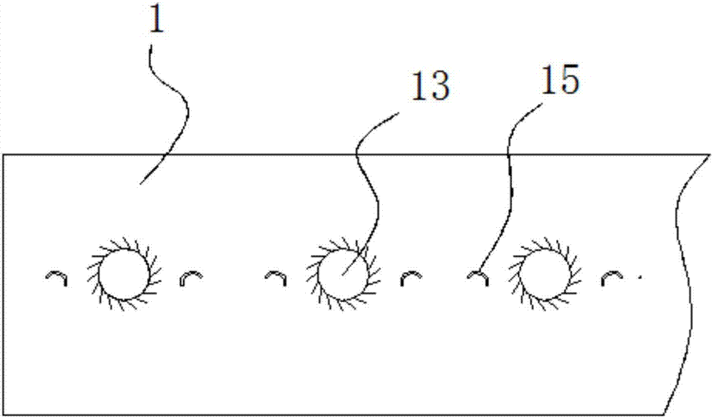 Large intestine cleaning device for beef cattle processing