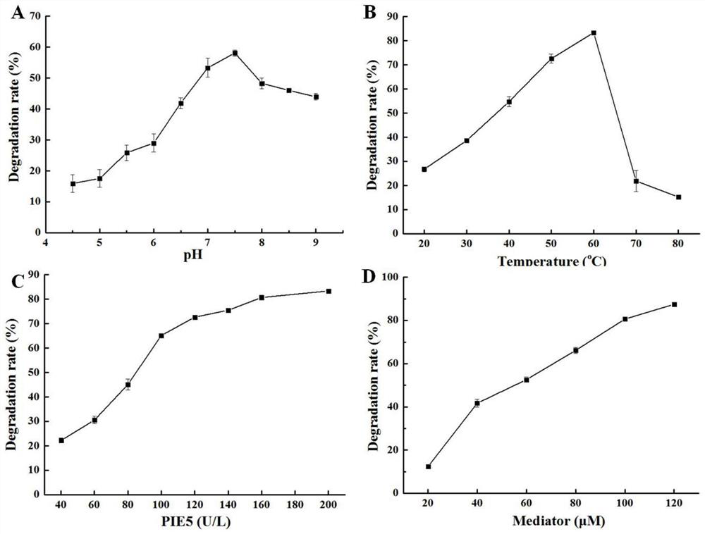 A kind of fungal laccase mutant pie5 and its expression strain and application