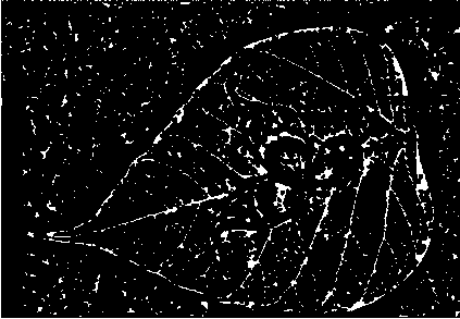 Anti-counterfeiting marker and method thereof