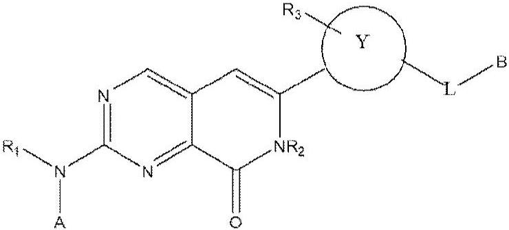 Novel pyrido[3,4-d]pyrimidin-8-one derivative having protein kinase inhibitory activity, and pharmaceutical composition for preventing, alleviating, or treating cancer, comprising same