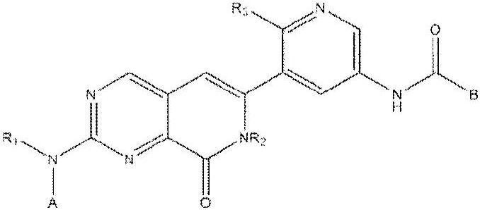 Novel pyrido[3,4-d]pyrimidin-8-one derivative having protein kinase inhibitory activity, and pharmaceutical composition for preventing, alleviating, or treating cancer, comprising same