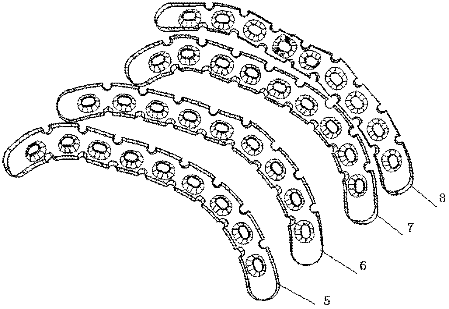 Pelvis arcuate line superior border anatomical bone plate