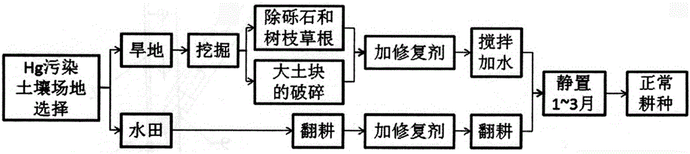 Restoration agent for heavy-metal Hg polluted soil, and preparation method and application method thereof