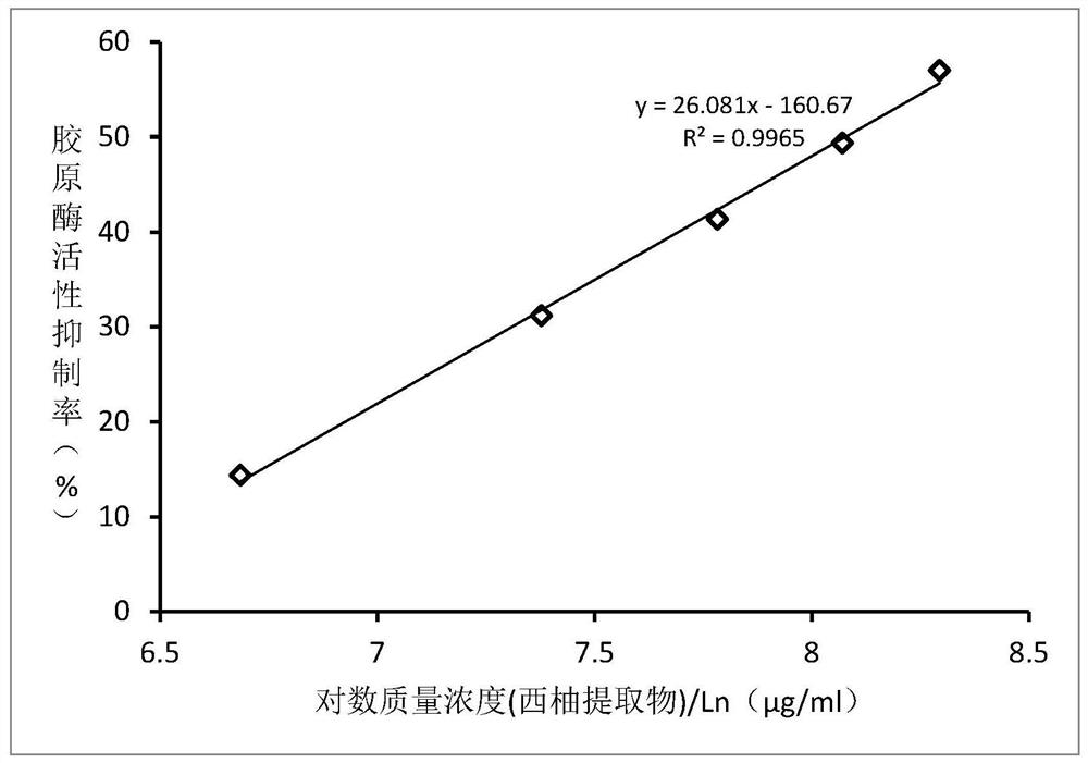 Tightening cream, preparation method thereof and collagenase inhibitor