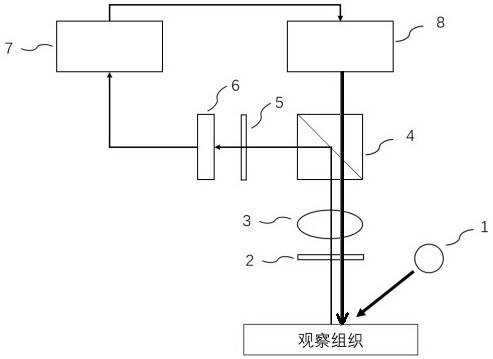 Augmented reality near-infrared fluorescence navigation system and method