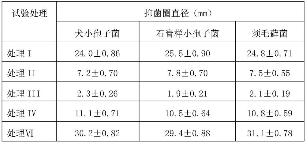 Pharmaceutical composition for treating pet skin disease and preparation method thereof