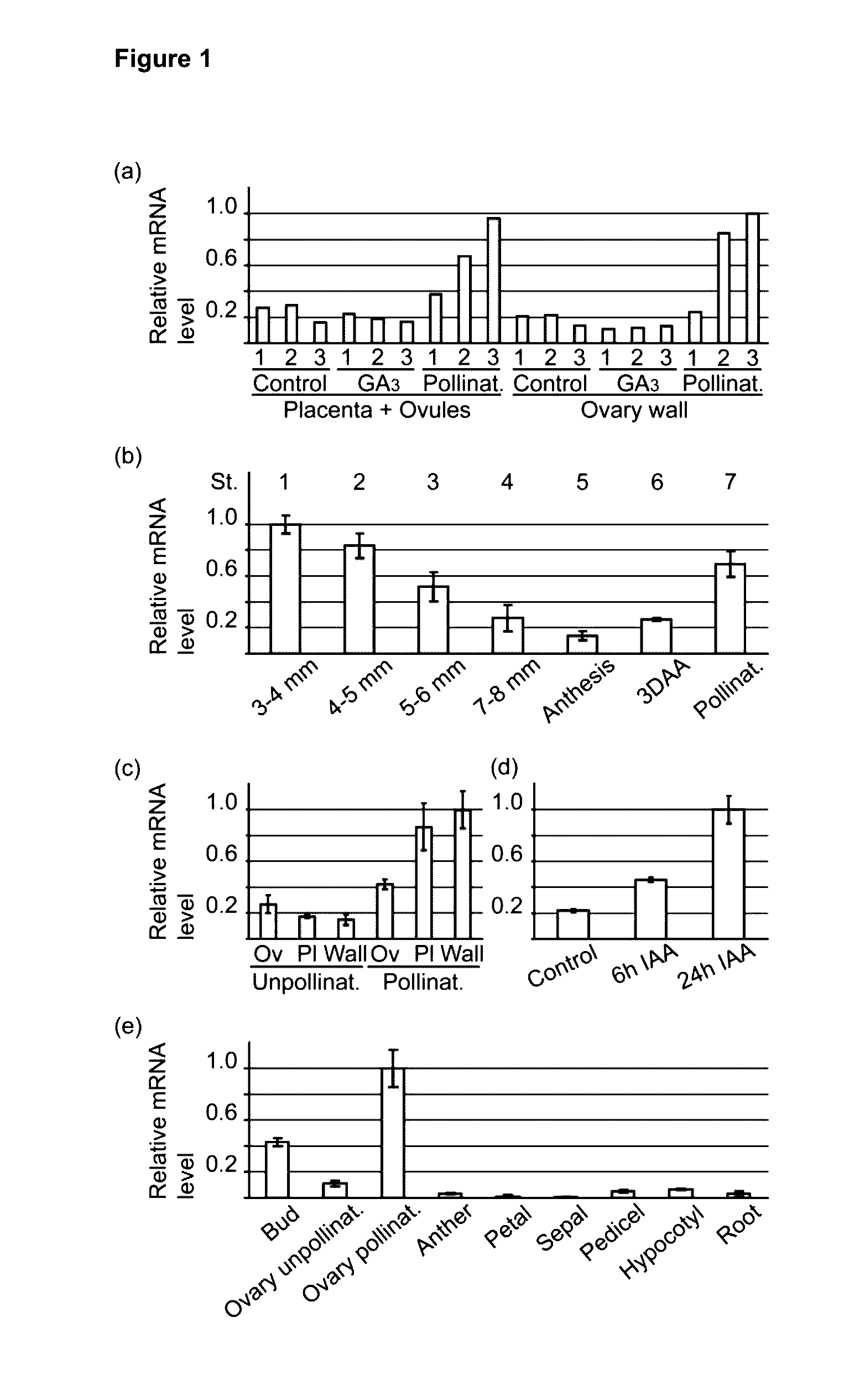 Plants with increased fruit size