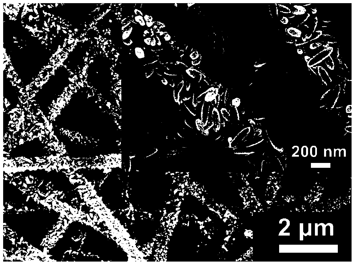 Beta-FeOOH/polyacrylonitrile composite nanofiber membrane, preparation method thereof and application of membrane