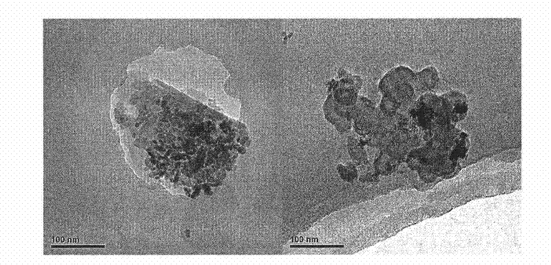 Method for extracting nanoparticle from soil