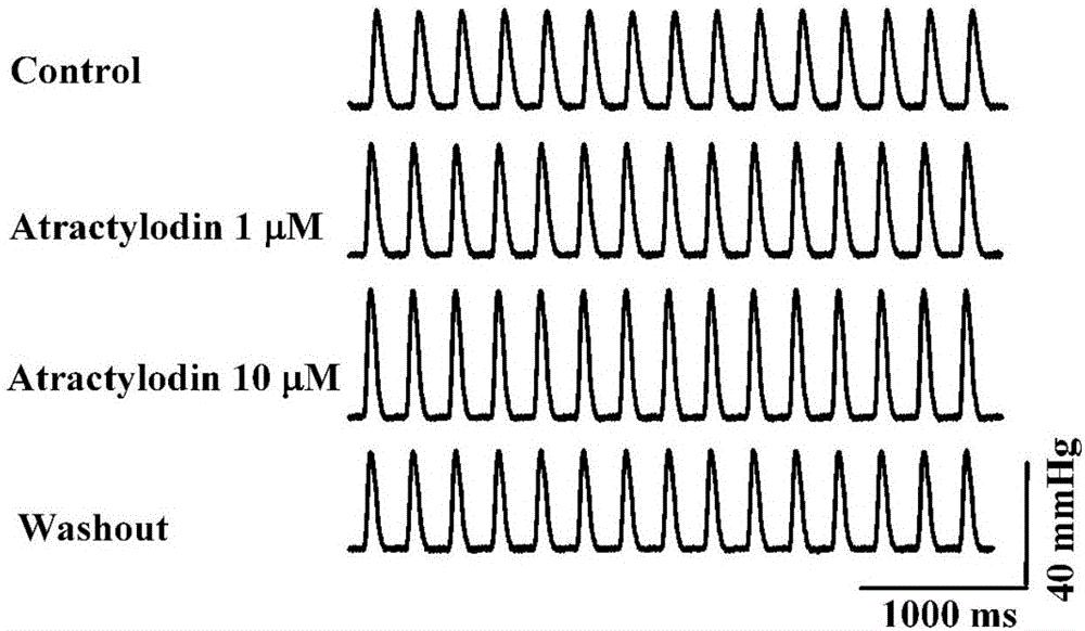 Application of atractylodin in pharmacy