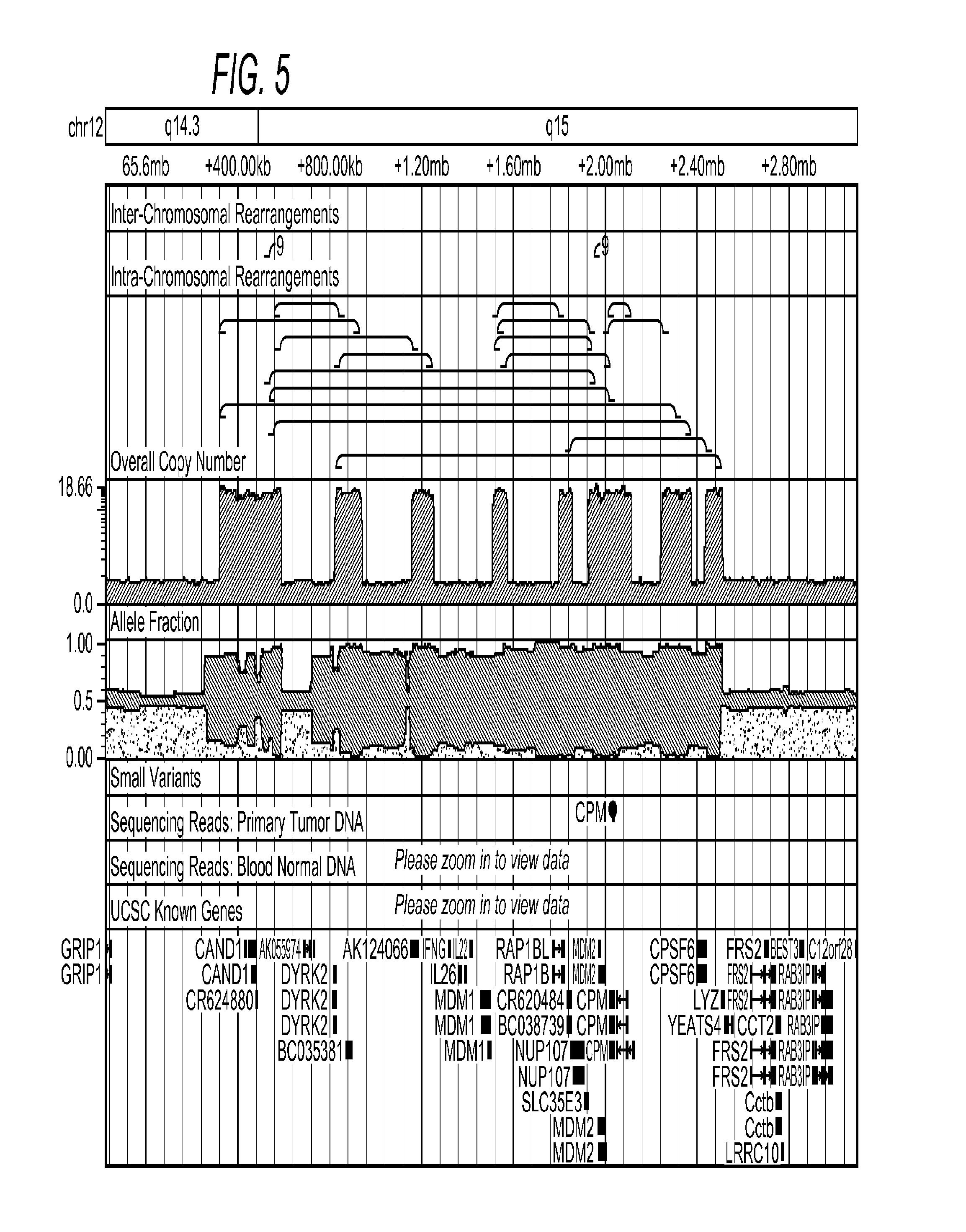 MDM2-Containing Double Minute Chromosomes And Methods Therefore