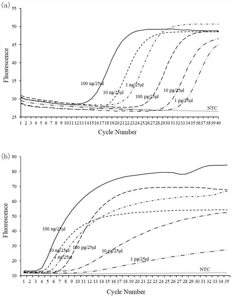 Method for rapidly detecting vibrio mimicus in clinical blood sample