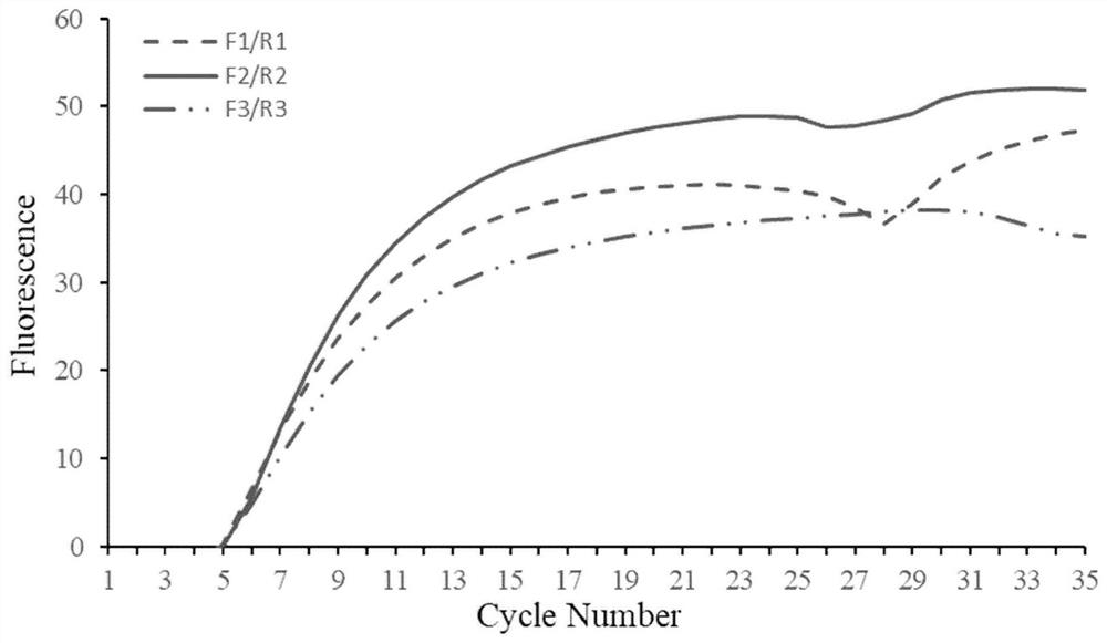 Method for rapidly detecting vibrio mimicus in clinical blood sample