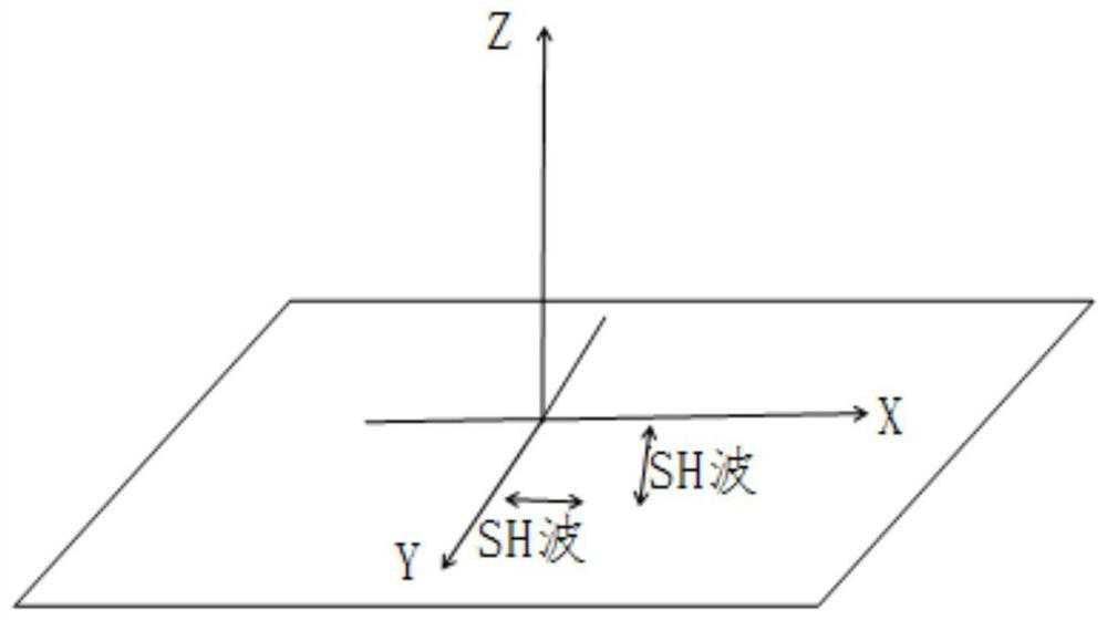 Transverse wave seismic profile obtaining method and device