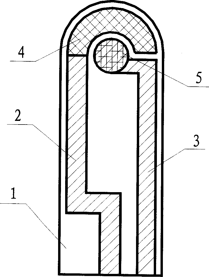 Siphon nano-biosensing chip and preparing method thereof