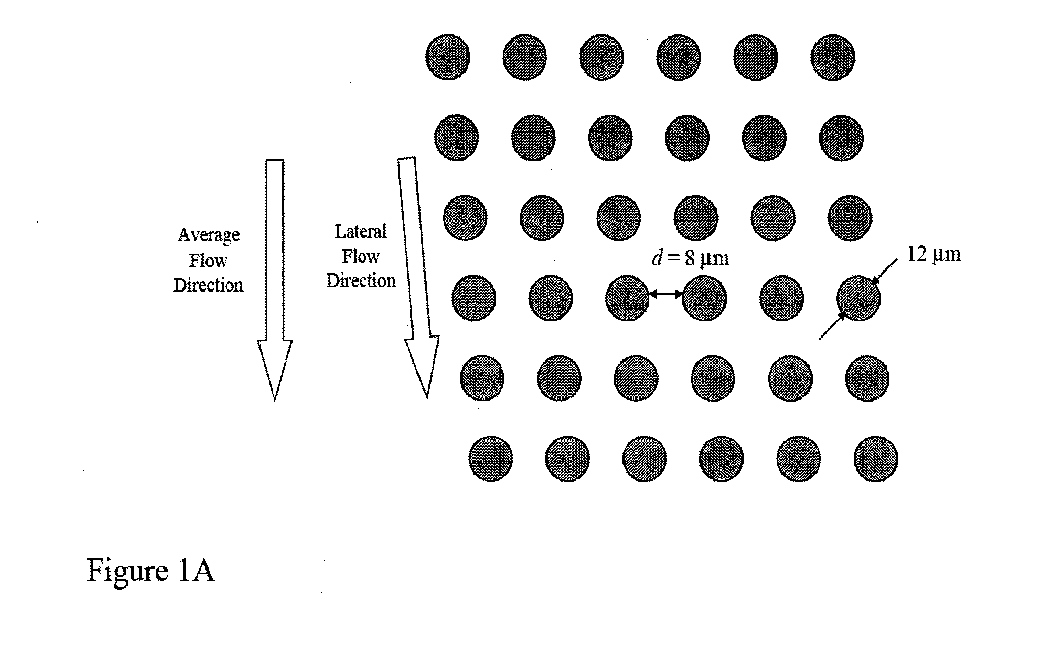 Analysis of rare cell-enriched samples