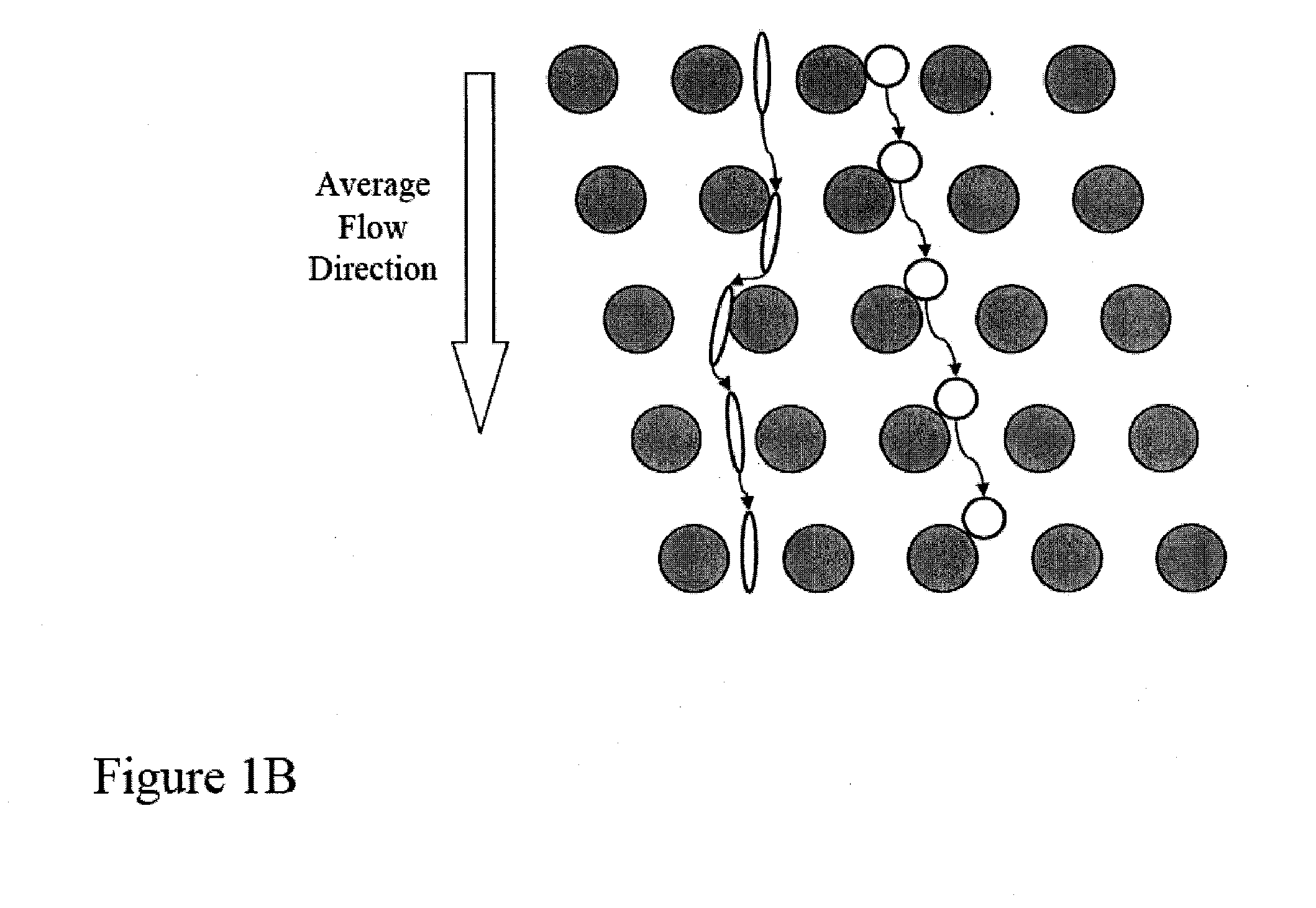 Analysis of rare cell-enriched samples