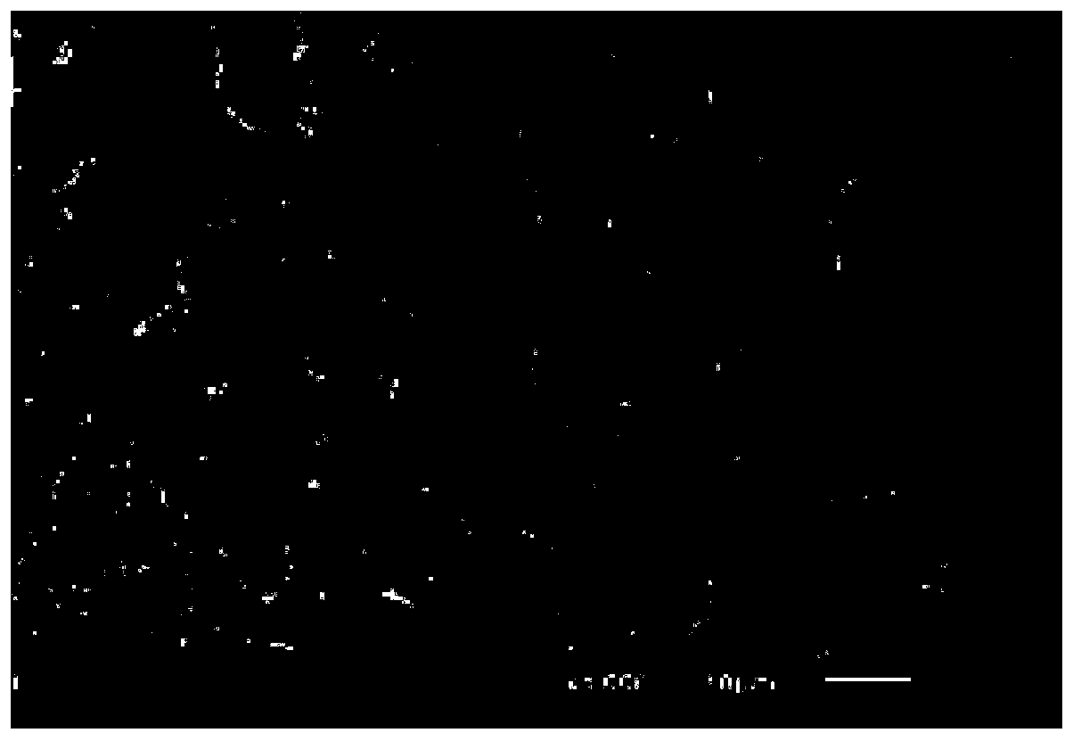 A wear-resistant, non-slip, high-life and environmentally friendly plastic runway and its preparation method