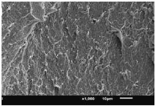 A wear-resistant, non-slip, high-life and environmentally friendly plastic runway and its preparation method