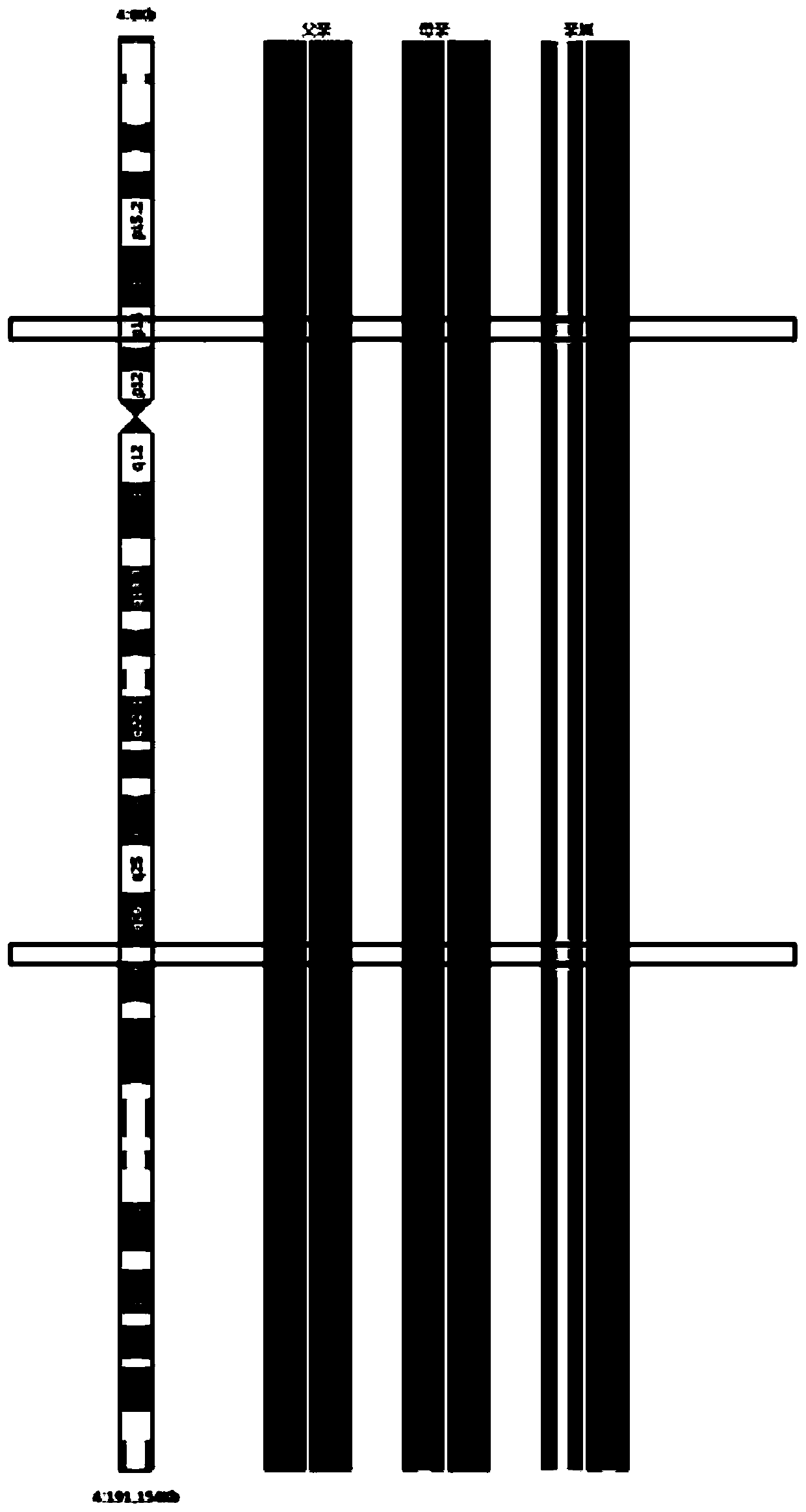 Method for discriminating inversion carrying state of embryo chromosome