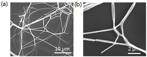 A method for preparing silver oxide-doped manganese oxide nanowire network based on electrospinning and its application in catalytic decomposition of formaldehyde