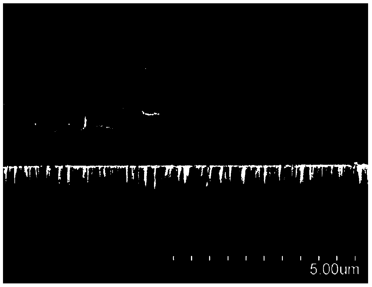 Silicon nanowire radial heterojunction solar battery manufacture method