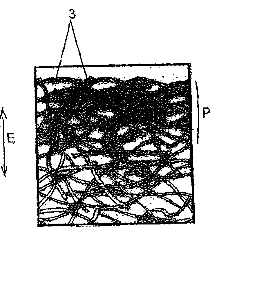 Screen formed from a stretched flexible surface bearing a print